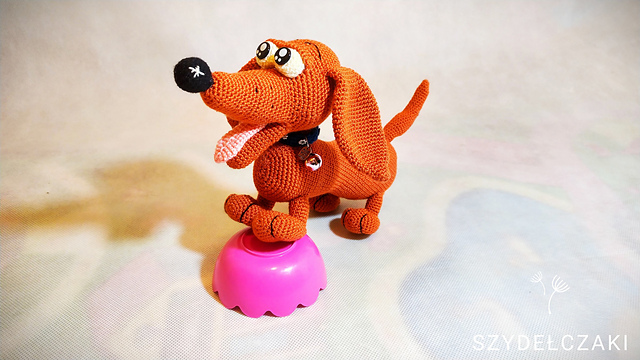 Dachshund Buzz