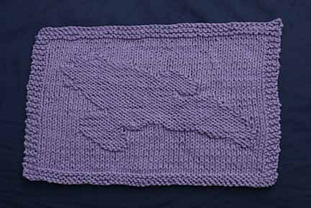 Big Damn Washcloth