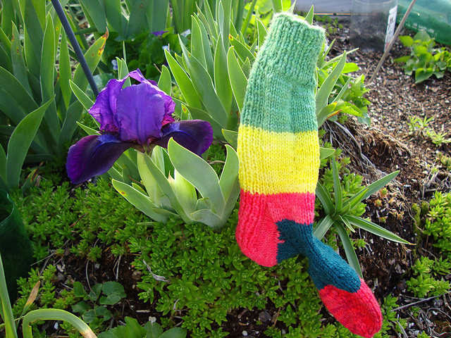 Torie's Mixed Up Socks