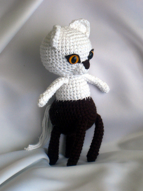 Sagittarius Kitten