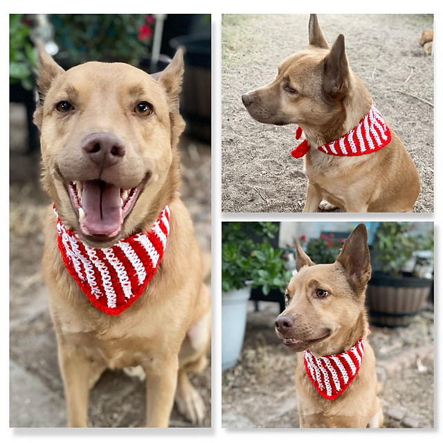 Striped Snarf Scarf