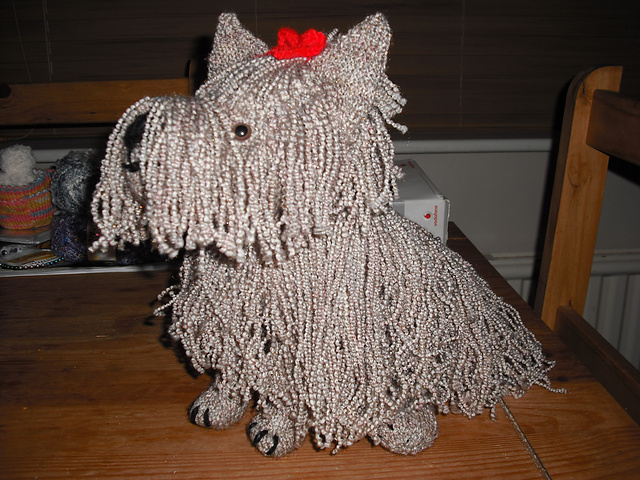 Yorkshire Terrier