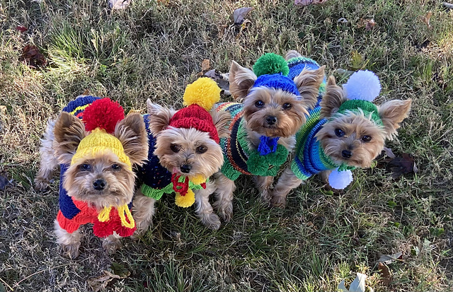 Dog hat for small breeds