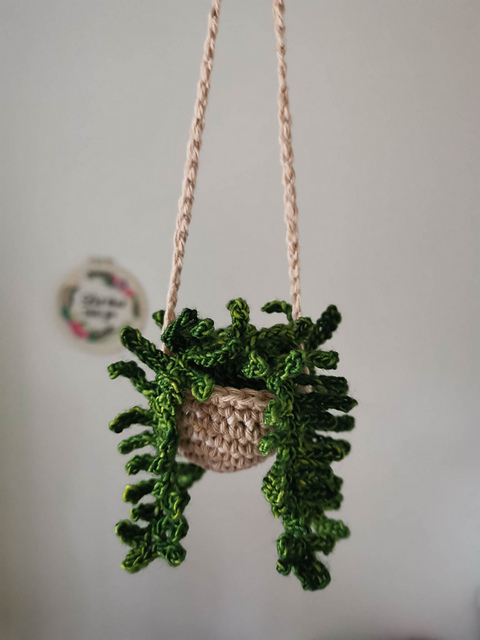 Fern Mini Hanging Plant