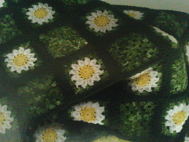Daisy Throw