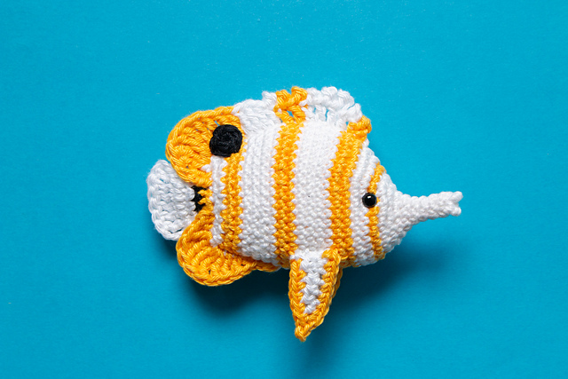 Butterflyfish