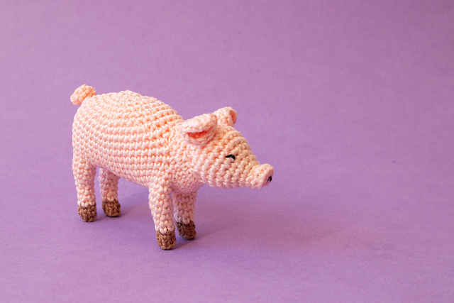 Penny the Pig