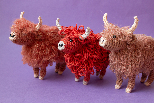 Hilda the Highland Cow