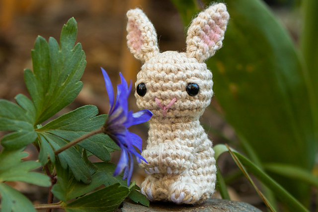 Little Bunny
