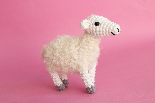 Shelly the Sheep