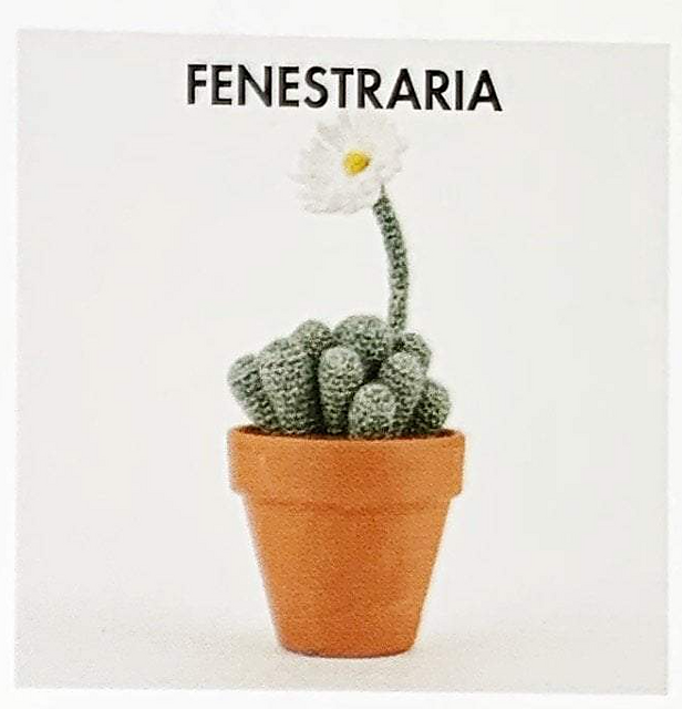 Fenestraria