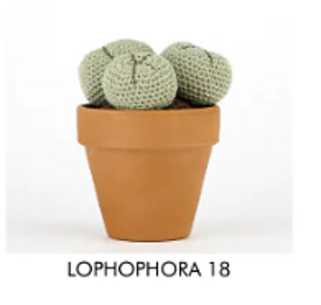 Lophophora