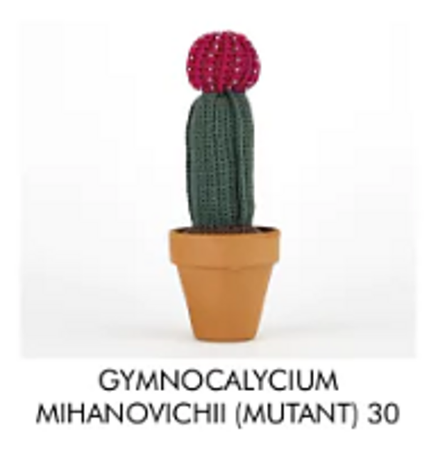 Gymnocalycium Mihanovichii (Mutant)
