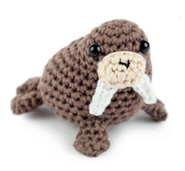 Walrus