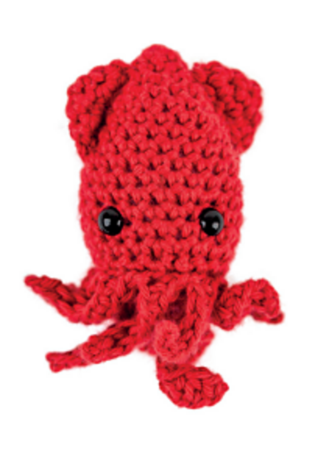 Squid