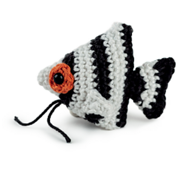 Angelfish
