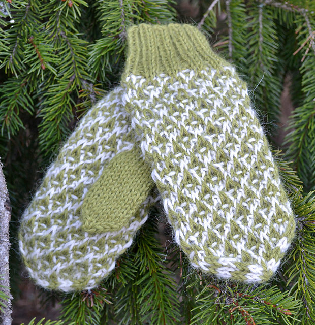 Tipivante - Brocade Mittens