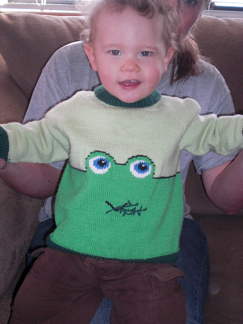 16408 Raglan Pullover