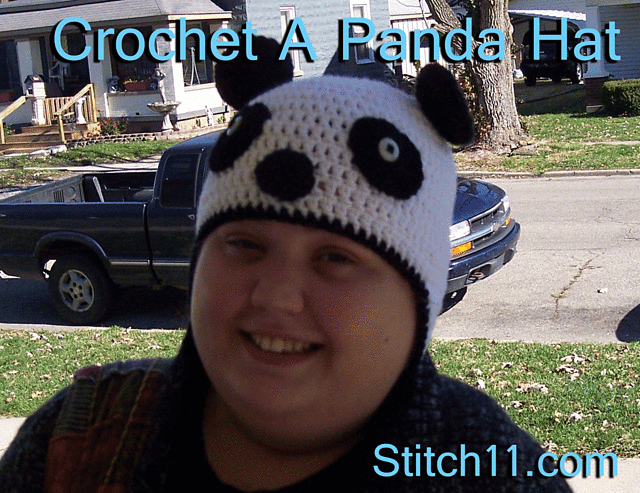 Adult Panda Bear
