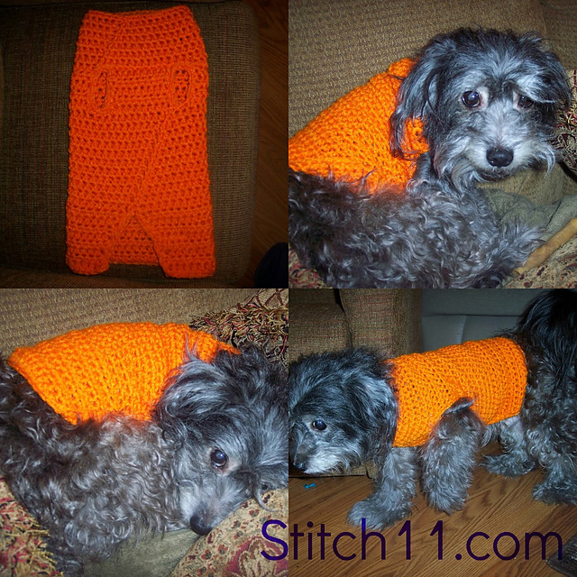 Sweater for Avis