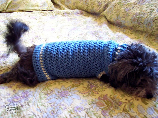 Size Small Dog Sweater