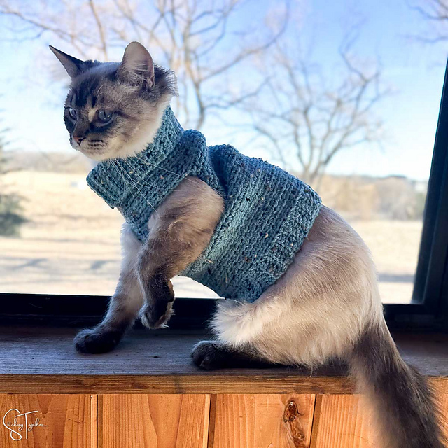 Cozy Cat Sweater