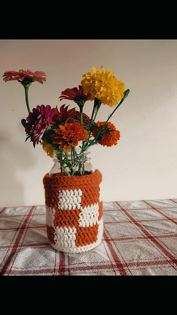 Color Block Jar Cozy