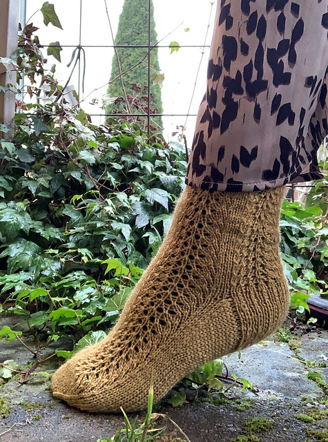 Peacock Socks
