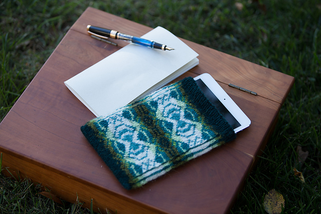 WiFi Tablet Pouch
