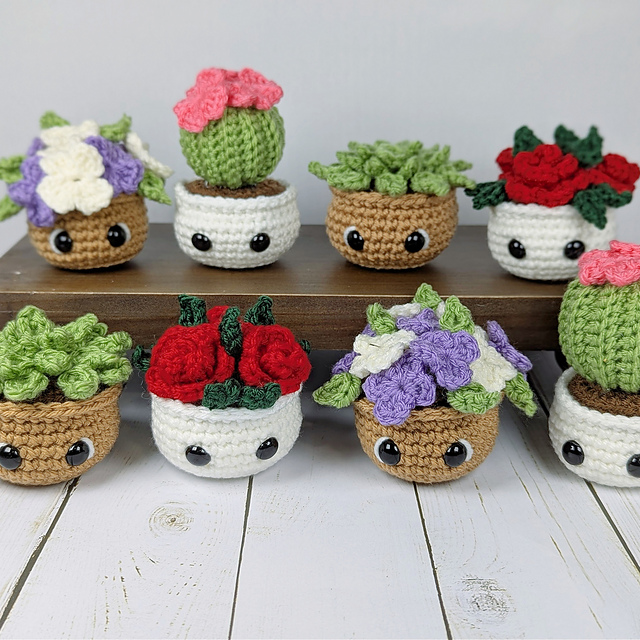 Potted Plants