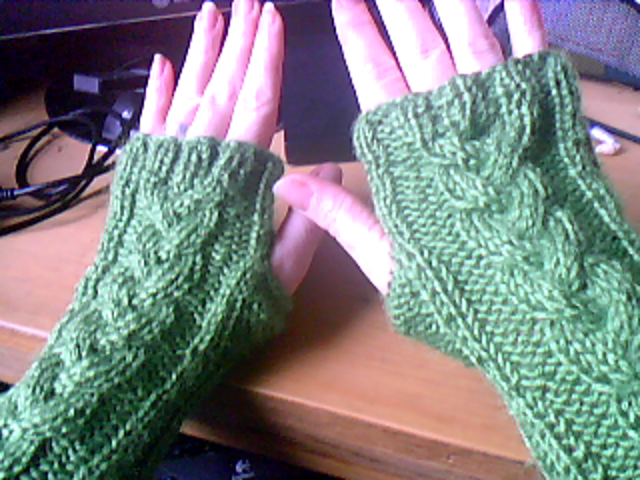 Fingerless Gloves Double