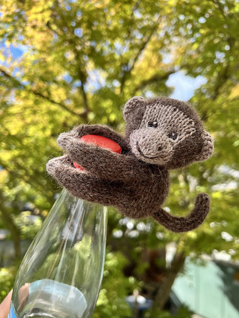 Stricknity Monkey Pattern