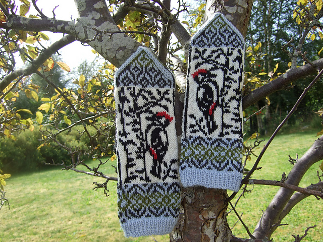 Woodpecker