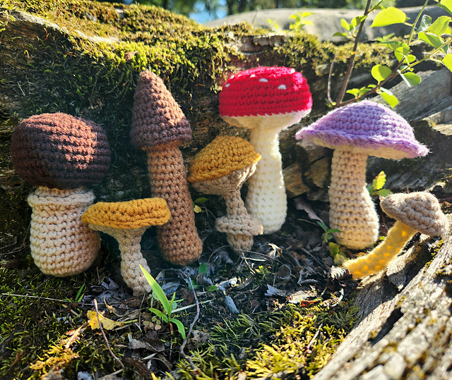 Mushrooms Set of 7
