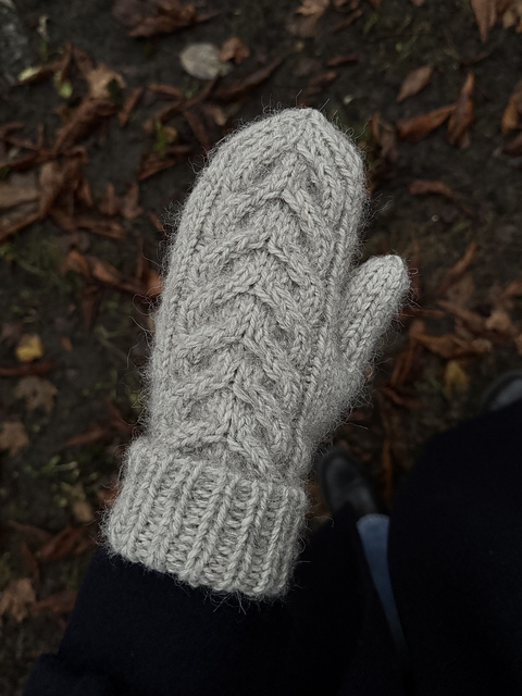 Sunday Mittens