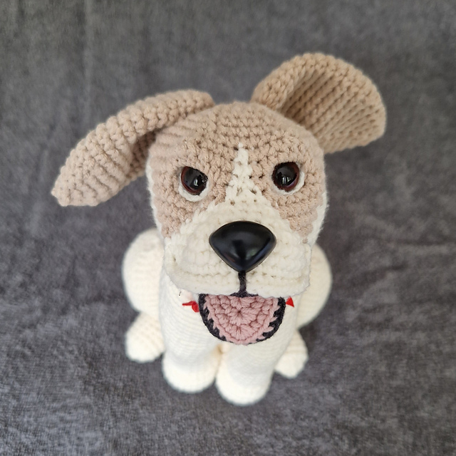 Joyce The Russel Terrier