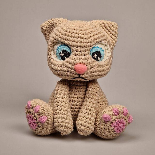 Big Eyed Kitten