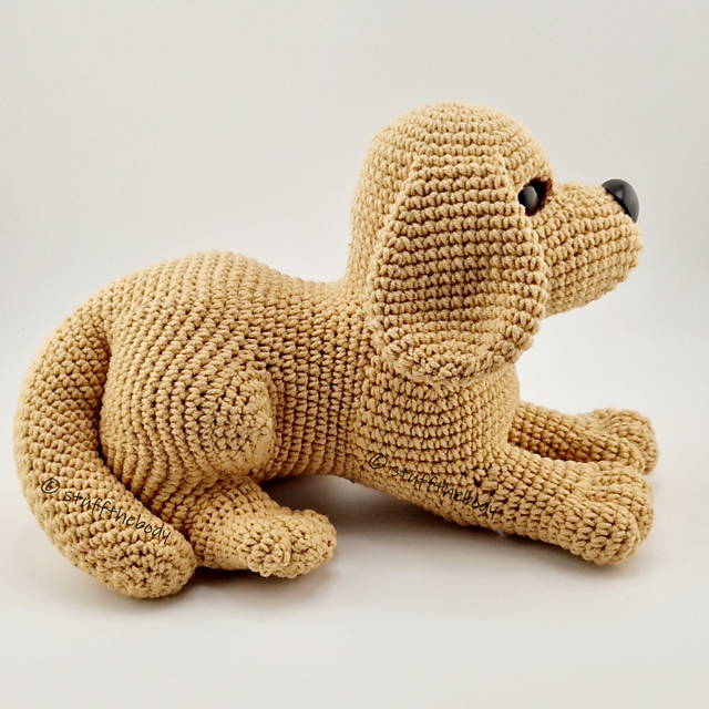 Spaniel Pup