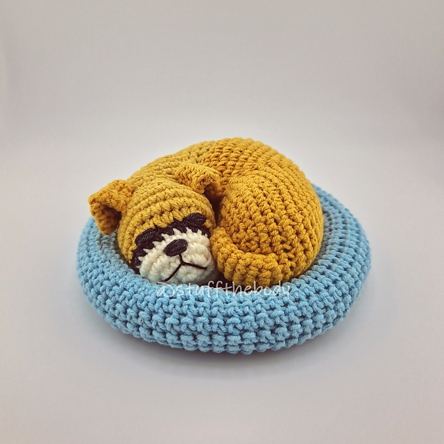 Curled Up Boxer
