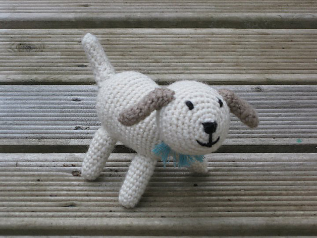 Playful Puppy