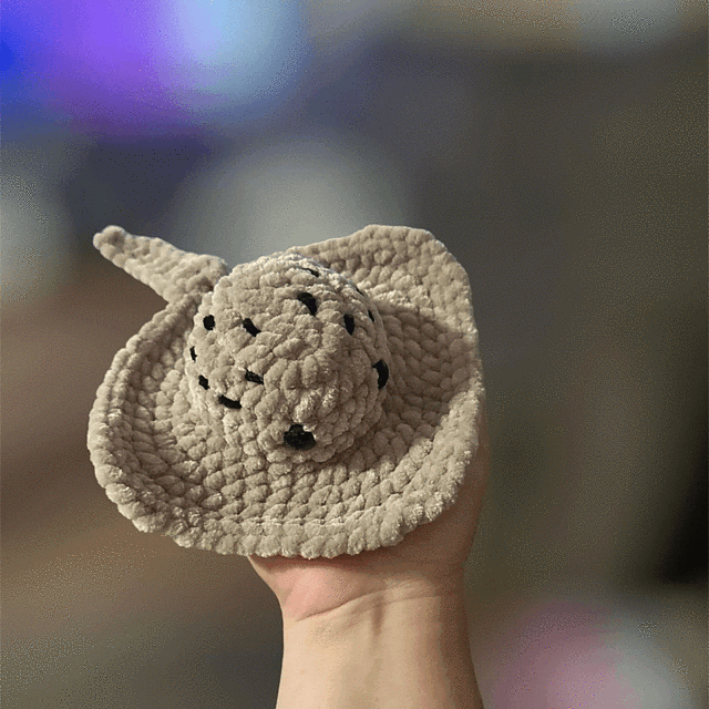 Stingray