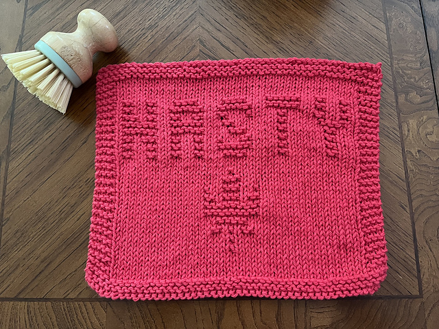 Nasty Cdn DishCloth