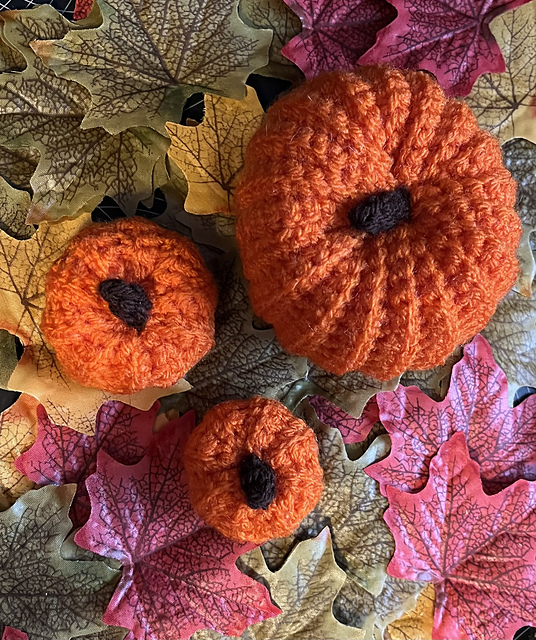 Pumpkin Patch
