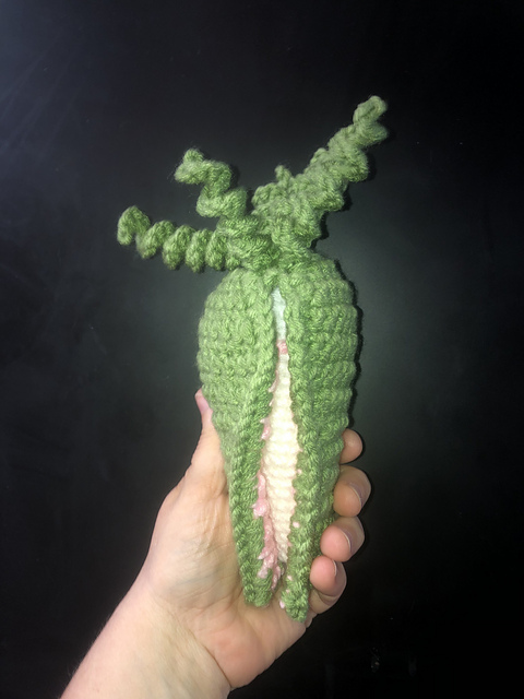 Peekabun Carrot