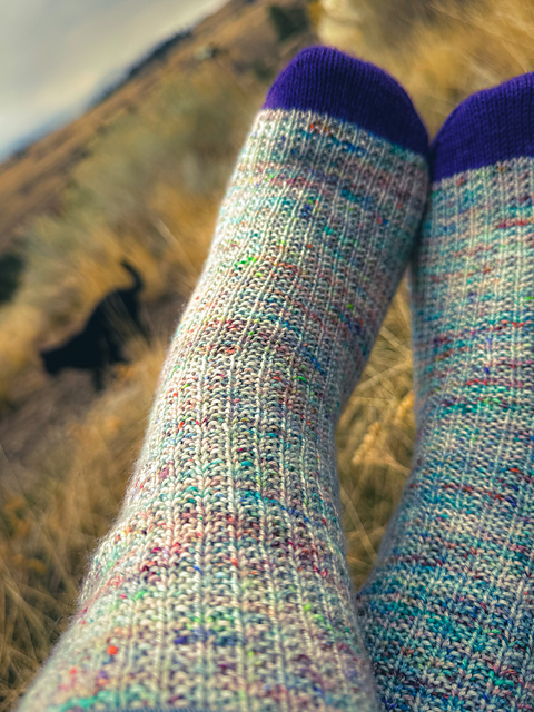 Bluster Socks