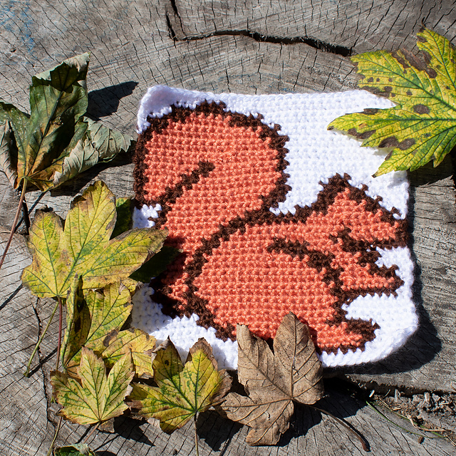 Squirrel Square