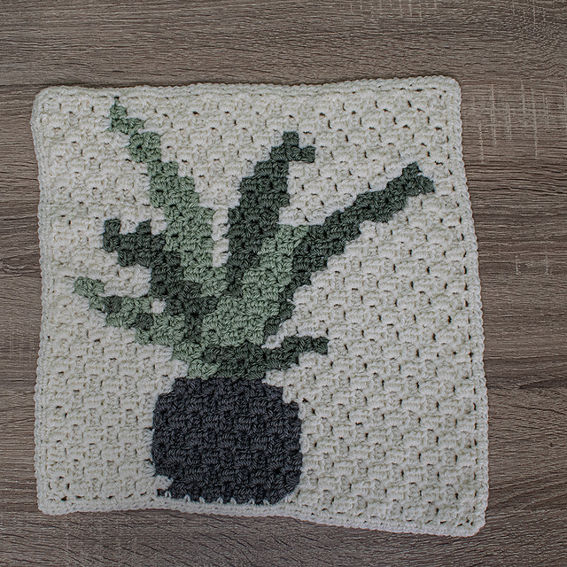 Aloe Plant C2C Square