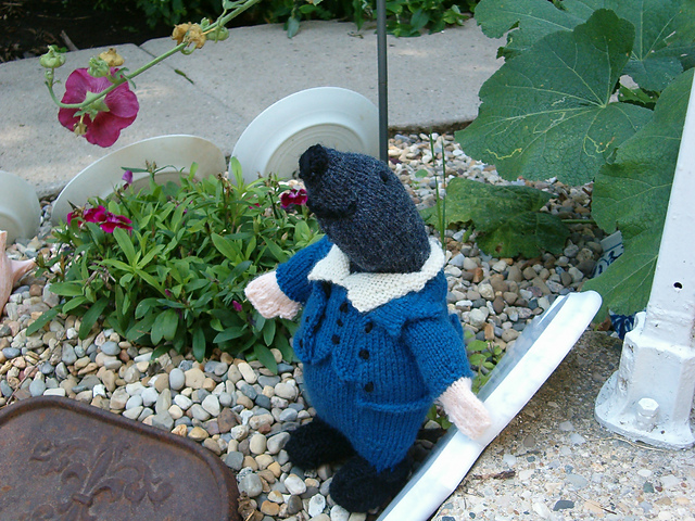 Mr Mole