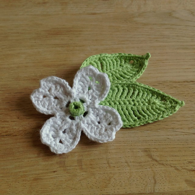 Dogwood Flower and Leaf
