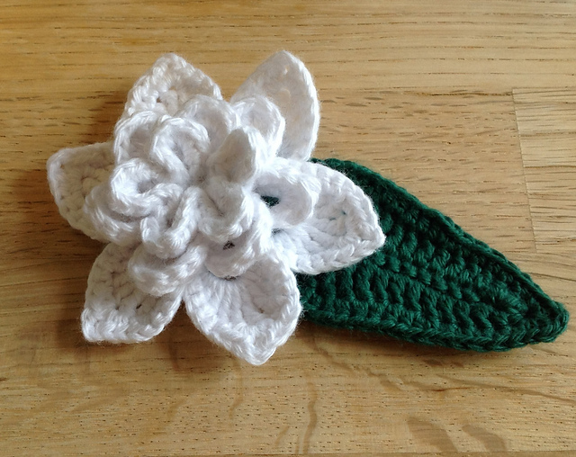 Gardenia Flower and Leaf